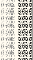 overflow_attack_sc_binary_analysis_2_2.png
